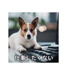 面白い犬ミームスタンプ【家事・主婦】（個別スタンプ：17）