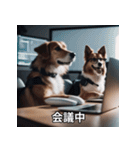 面白い犬ミームスタンプ【家事・主婦】（個別スタンプ：19）