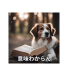 面白い犬ミームスタンプ【家事・主婦】（個別スタンプ：20）