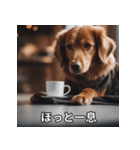 面白い犬ミームスタンプ【家事・主婦】（個別スタンプ：22）