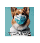 面白い犬ミームスタンプ【家事・主婦】（個別スタンプ：24）