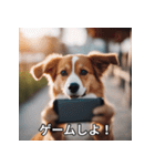 面白い犬ミームスタンプ【家事・主婦】（個別スタンプ：25）
