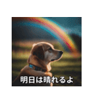 面白い犬ミームスタンプ【家事・主婦】（個別スタンプ：26）