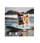 面白い犬ミームスタンプ【家事・主婦】（個別スタンプ：27）