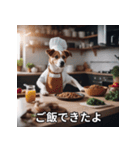 面白い犬ミームスタンプ【家事・主婦】（個別スタンプ：28）