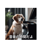 面白い犬ミームスタンプ【家事・主婦】（個別スタンプ：32）