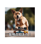 面白い犬ミームスタンプ【家事・主婦】（個別スタンプ：33）