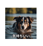 面白い犬ミームスタンプ【家事・主婦】（個別スタンプ：34）