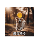 面白い犬ミームスタンプ【家事・主婦】（個別スタンプ：35）
