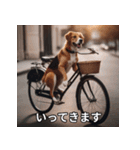 面白い犬ミームスタンプ【家事・主婦】（個別スタンプ：36）