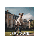 面白い犬ミームスタンプ【家事・主婦】（個別スタンプ：40）