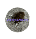 おめぇの席ねぇから①（個別スタンプ：6）