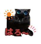 S家の黒猫の福ちゃん(2024)（個別スタンプ：3）