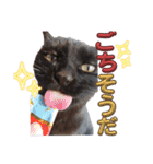 S家の黒猫の福ちゃん(2024)（個別スタンプ：6）