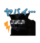 S家の黒猫の福ちゃん(2024)（個別スタンプ：13）