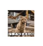 動く 現場猫 社会人 社畜（個別スタンプ：5）