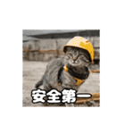 動く 現場猫 社会人 社畜（個別スタンプ：9）