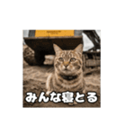 動く 現場猫 社会人 社畜（個別スタンプ：11）