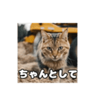 動く 現場猫 社会人 社畜（個別スタンプ：17）