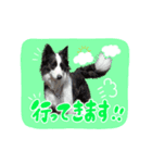 『ナッツ☆タルト☆オレオ』（個別スタンプ：4）