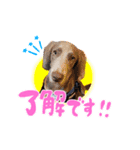 『ナッツ☆タルト☆オレオ』（個別スタンプ：6）