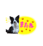 『ナッツ☆タルト☆オレオ』（個別スタンプ：8）