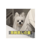 【最新】使いにくい犬のスタンプ（個別スタンプ：8）