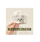 【最新】使いにくい犬のスタンプ（個別スタンプ：18）