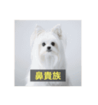 【最新】使いにくい犬のスタンプ（個別スタンプ：27）