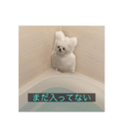 【最新】使いにくい犬のスタンプ（個別スタンプ：32）