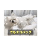 【最新】使いにくい犬のスタンプ（個別スタンプ：33）