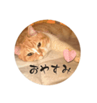 うにさんの挨拶（個別スタンプ：40）