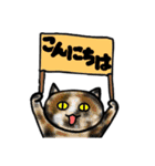 mio'sパネルねこ（個別スタンプ：9）