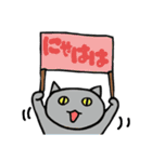 mio'sパネルねこ（個別スタンプ：11）