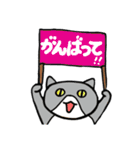 mio'sパネルねこ（個別スタンプ：16）