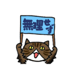 mio'sパネルねこ（個別スタンプ：17）