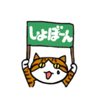 mio'sパネルねこ（個別スタンプ：19）