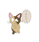 荒野民乱用スタンプ②（個別スタンプ：13）