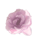 お花尽くしスタンプ薔薇ver（個別スタンプ：8）