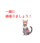 ねこじっと サラリーにゃん（個別スタンプ：40）