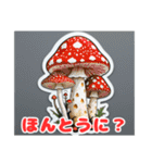 危険生物の驚きスタンプ！（個別スタンプ：15）