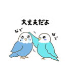 なかよしインコ2（日常会話編）（個別スタンプ：22）