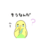 なかよしインコ2（日常会話編）（個別スタンプ：33）