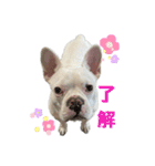 あいあむぽぽ。（個別スタンプ：4）