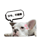 あいあむぽぽ。（個別スタンプ：16）
