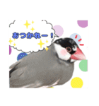 桜文鳥ぽったスタンプ（個別スタンプ：2）