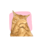まおとむぎはかわいい猫（個別スタンプ：30）