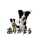 ヴェディー＆アード（個別スタンプ：1）