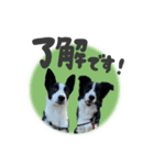 ヴェディー＆アード（個別スタンプ：3）