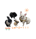 あいあむぽぽ。2（個別スタンプ：1）